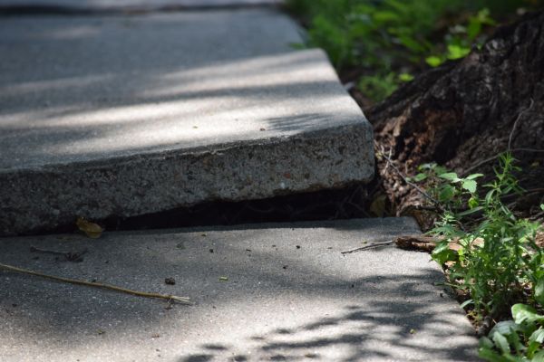 Sidewalk Leveling in Clarkston