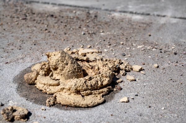 Cost of Driveway Slab Leveling in Clarkston